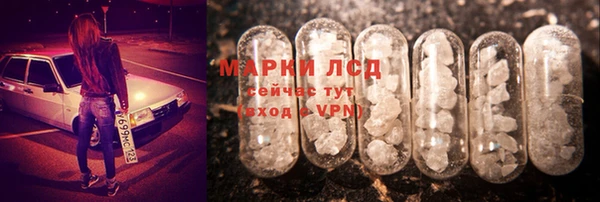 ешки Алексин