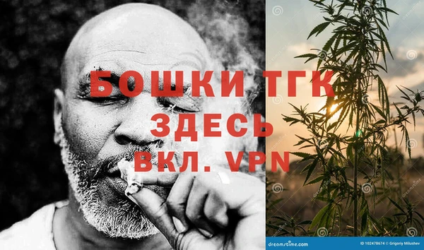 ешки Алексин