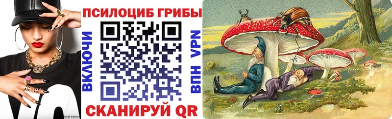 закладка  Карабаш  Псилоцибиновые грибы ЛСД 